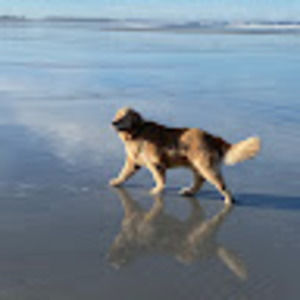 Meet your Posher, Courtney